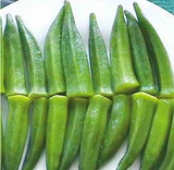 Овощный зеленый лук, петрушка для посадки на балконы.