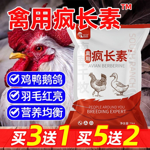 Курица птицы с домашней птицей с кормовой аддитивной мясной птицей, утка, гусы