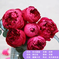 Осенний Руж