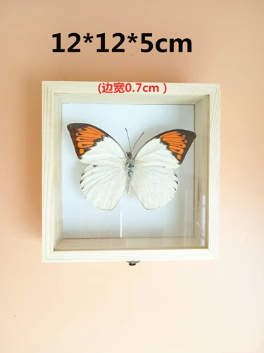 Квадратный образец из натурального дерева, стеклянная деревянная коробка с бабочкой, 12×12×5см