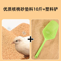 Высококачественный ореховый песок 10 Catties+пластиковая лопата (свежий зеленый)