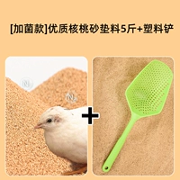 [Бактерии] Песок из грецкого ореха 5 Catties+пластиковая лопата (свежий зеленый)