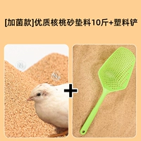 [Бактерии] Высококачественное ореховое песок 10 Catties+пластиковая лопата (свежий зеленый)