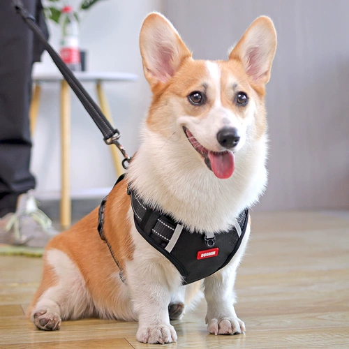Слипать собаку Тракционная веревка веревка среднего типа Corki Shiba inu для грудного ремня акита хаски