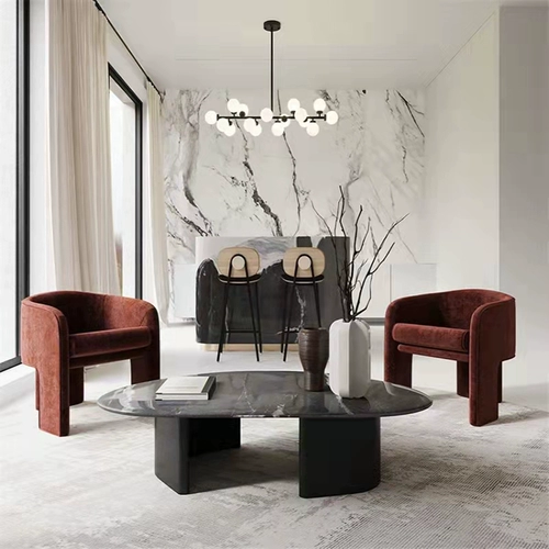 Nordic Light Luxury Designer Casual Desected Отдел продаж кофейня прием переговоров по переговорам по дому жидкому дивану одно стуло