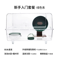 66 Crystal Cage Вводный пакет для начинающих — зеленая серия