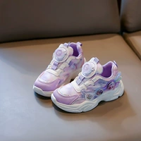 Фиолетовая двойная сеть