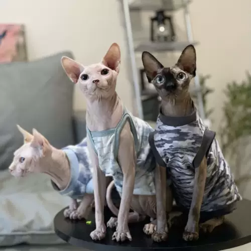 Летний тонкий эластичный мягкий дышащий бандаж пупочный, городской стиль