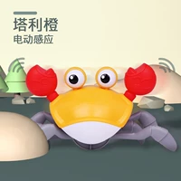 Электрическое зондирование крабовое оранжевое