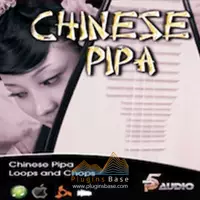 Китайский пакет отбора проб на китайском хип -хопе китайский национальный музыкальный инструмент Pipa Wav