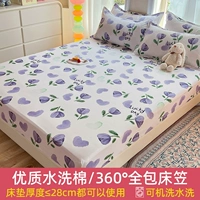 Фиолетовый тюльпан [кожа, дружелюбная вода, хлопок подходит для обнаженного спящего мяча]