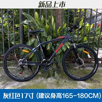 Серый красный 17 дюймов