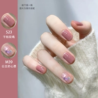 S23 сушеная роза