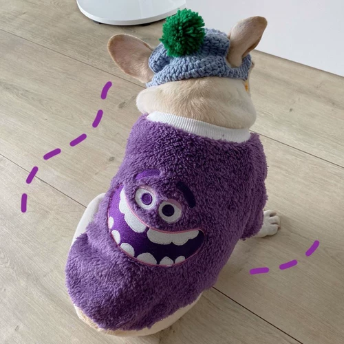 Борьба с одеждой щенка Симпатичная теплая зимняя одежда для домашних животных yingdo schnauzer teddy dog