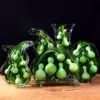 Товары от 望云阁葫芦