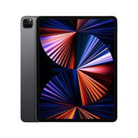 IPad Pro 2021 12,9 дюйма [серый]