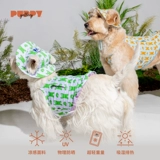 Корея Puppygally