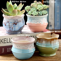 Gj четырехлорновые фрукты красочная комбинация