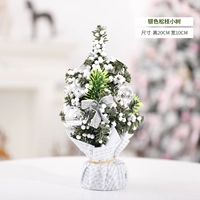 Серебряная сосна ветвь Сяошу