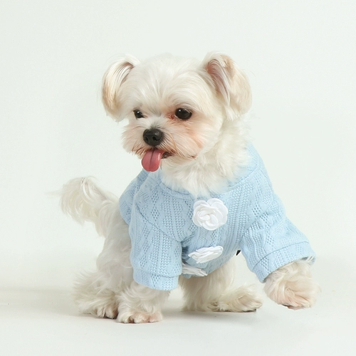 Пиксель -монстр одежда собака светло -голубой цветочный свитер из ручной работы, пиджак пиджак