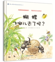 17 Где летит бабочка?