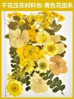 料 Высушенное цветочное давление цветочное материал мешок-31 Желтая цветочная система