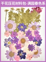 料 Сухое цветочное давление в цветочном материале мешок-35 весенний цвета в полном саду