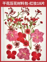 料 Сухое цветочное давление цветочное материал мешок-18 кусочки красного макияжа