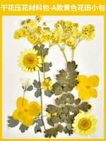 Набор материалов, желтая небольшая сумка, 12 штук