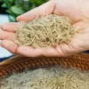Товары от 培杨山东土特产