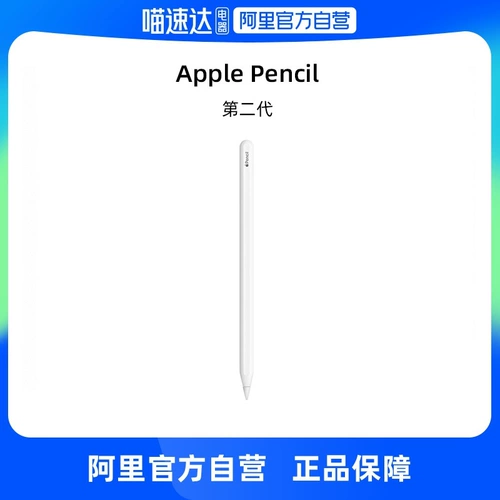 [Self -занятый] подходит Apple/Apple Apple Pencil (второе поколение)