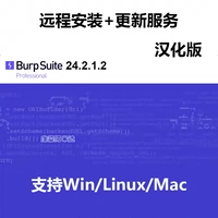 Burp Suite Pro 2024.2.1.