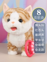 [Желтые полосы] Облизывая кошек и прикоснулись к их головам+Learn Talk+Music