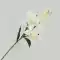hoa giả de bàn thờ chúa 3-đầu tay-cảm giác Lily nhân tạo hoa giả hoa cao cấp trang trí phòng khách bàn ăn tủ Tivi trang trí hoa trang trí đám cưới bình hoa lựu giả hoa giả ban công Cây hoa trang trí