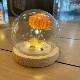 1 медуза Ночной свет- [Материал содержит круглую стеклянную крышку] USB-модель