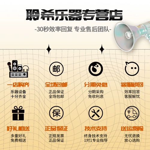 Black Lion 6x6 Sound Card 2x2 Live Singing Singing Single Computer Внешний USB -звуковая отладка.