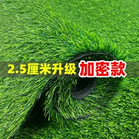 [2.5厘米加密优质春草【1.5米宽*12米长】]