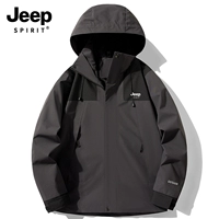 Женская золотая сталь серая [одиночная куртка]