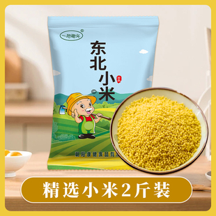一把锄头！东北优质黄小米2斤