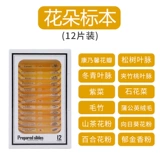 Детский микроскоп для школьников, профессиональная портативная игрушка, комплект для экспериментов для детского сада, наука, увеличение в 1200 раз, оптика