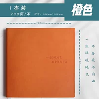 Пустой стиль [фруктовый зерно оранжевый/большой]