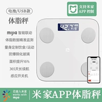 Был подключен к масштабам жиров Mijia-Body Fat ⭐ Mijia Baiyu [поддержка Mijia App Control]