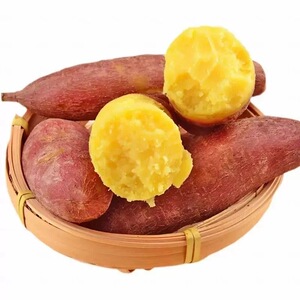 红薯番薯烤地瓜农家现挖沙地龙九黄心蜜薯粉糯糖心西瓜红番薯山芋