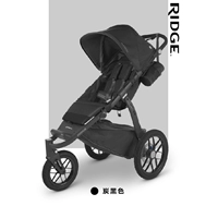 Черный Джейк Элегантный Черный июнь-6 лет