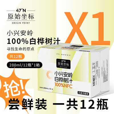 原始坐标天然白桦树汁无糖植物饮