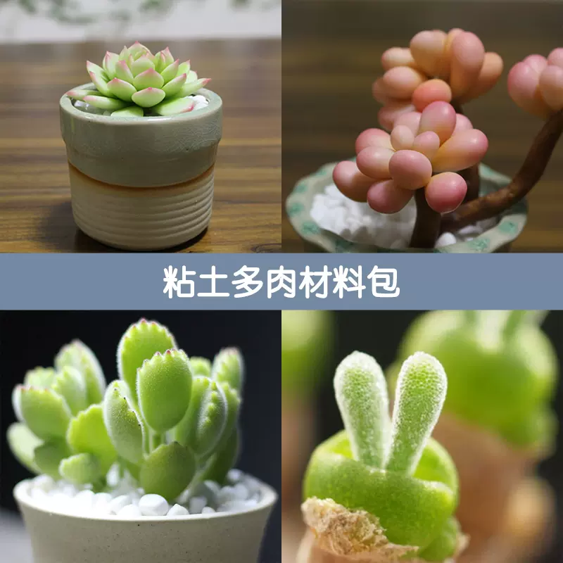 墨叔家树脂粘土仿真手工多肉植物专用陶瓷花盆小号花盆