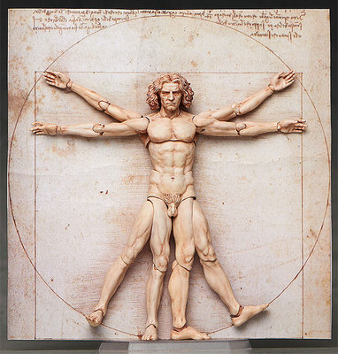 taobao agent Figma Desktop Art Museum SP-075 Human Body Tu Da Vinci Witrovi