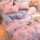 Bộ đồ giường cotton dày chải bông bốn mảnh chăn ngắn duvet quilt bộ khăn trải giường mùa thu và mùa đông lưới màu đỏ - Bộ đồ giường bốn mảnh