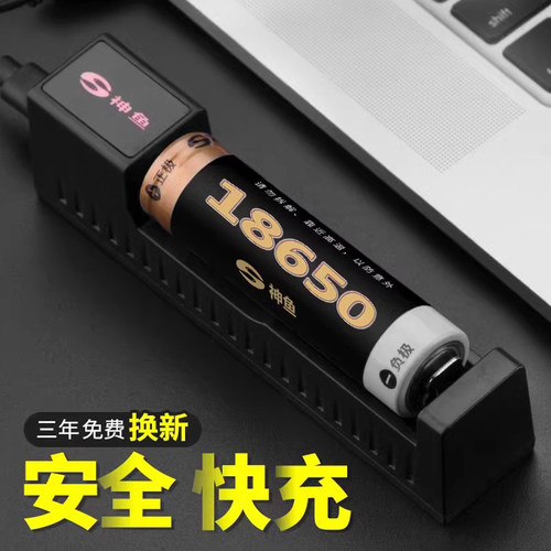 十年质保  只换不修