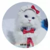 Товары от 玉颜8888